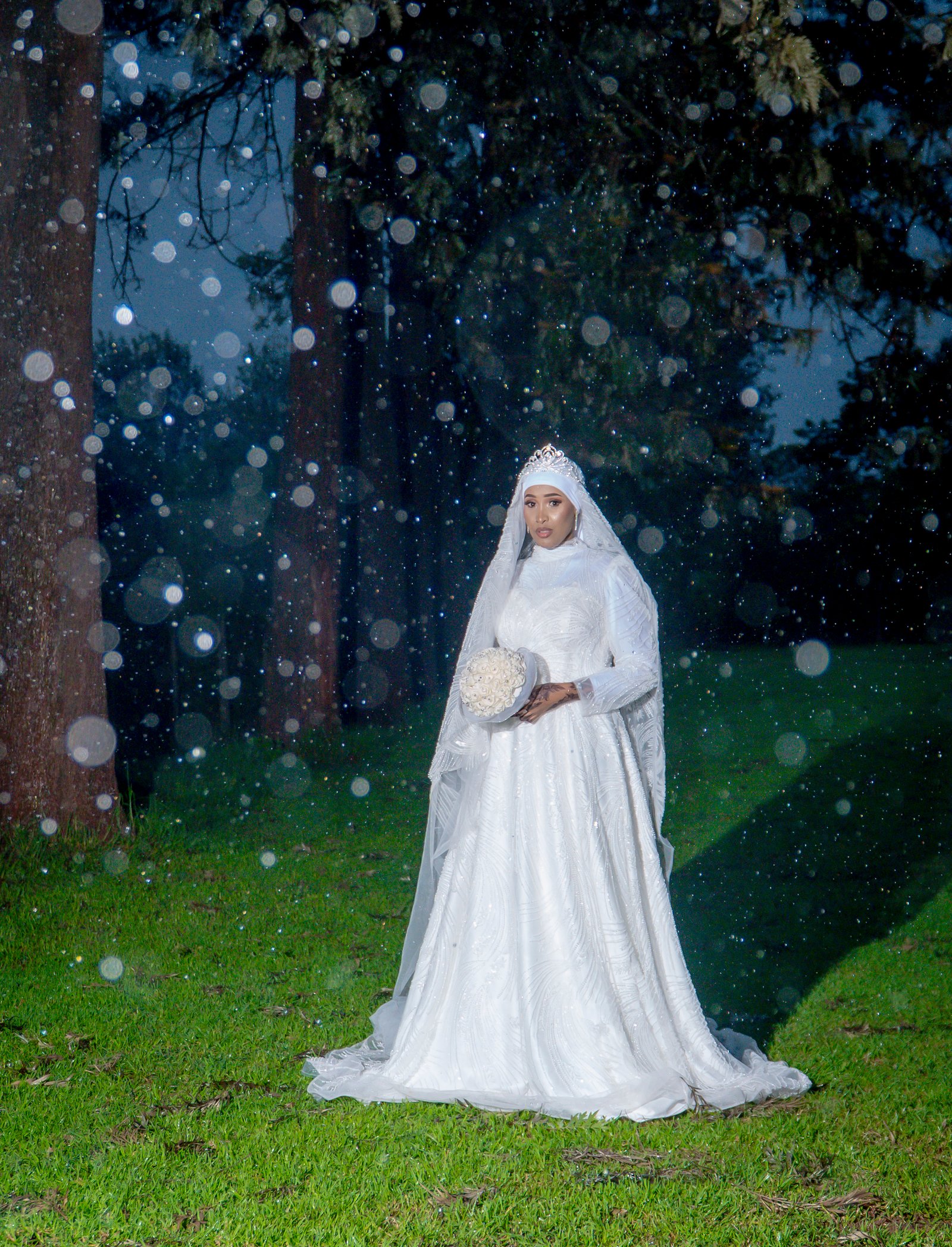 Professional Portrait